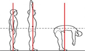 تغییر مرکز ثقل با توجه به وضعیت قرار گیری بدن انسان در فیزیک حرکت انیمیت دو بعدی