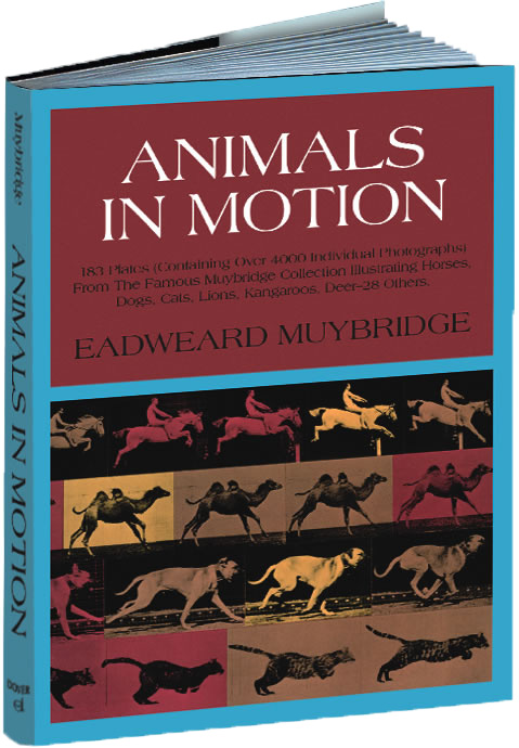 کتاب animals in motion کتاب الهام بخش انیماتورها